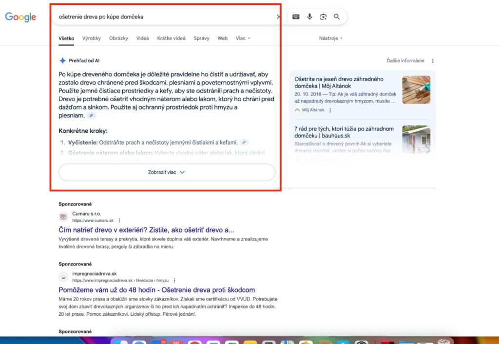 co je AI Overviews ukazka